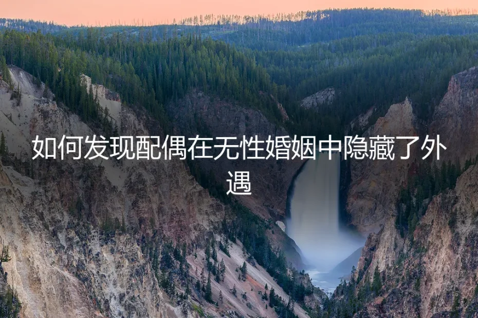 无性婚姻中如何发现隐藏的外遇：一份冷静的侦查与自保指南