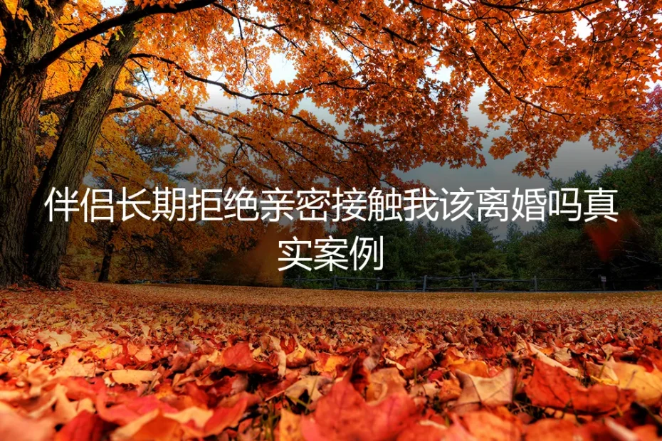 伴侣长期拒绝亲密接触，我该离婚吗？一个真实案例的深度剖析