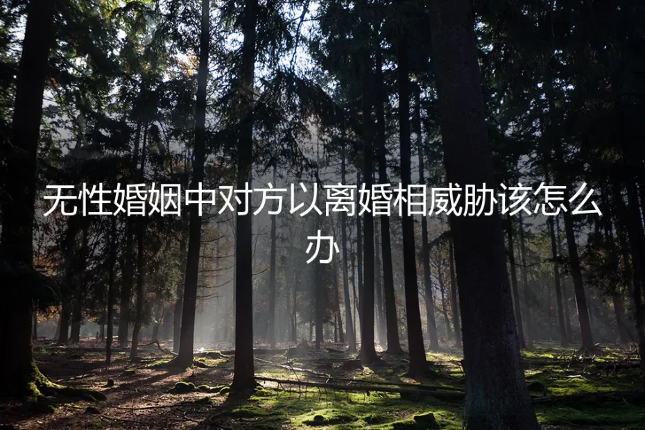 无性婚姻中，当对方以离婚相威胁：风险前置与理性应对指南