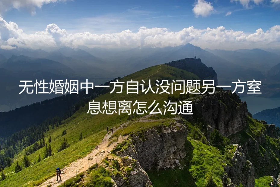 无性婚姻危机沟通：当一方自认无碍，另一方窒息想离的保姆级破局指南