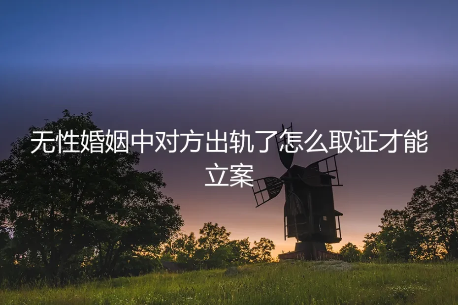 无性婚姻中对方出轨，如何合法有效取证以立案？保姆级实操避坑指南