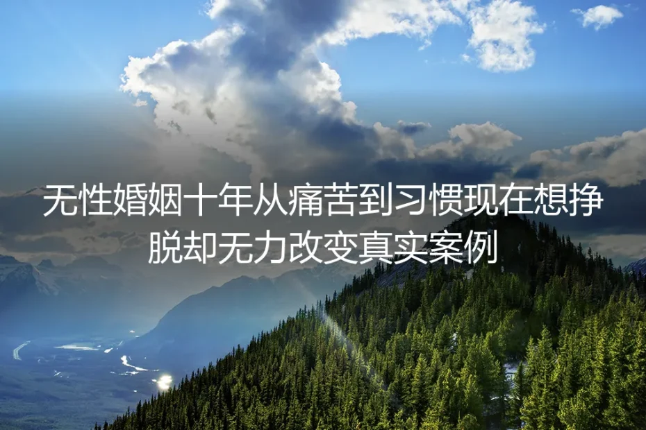 十年无性婚姻：从刺痛到麻木，再到无声的挣脱