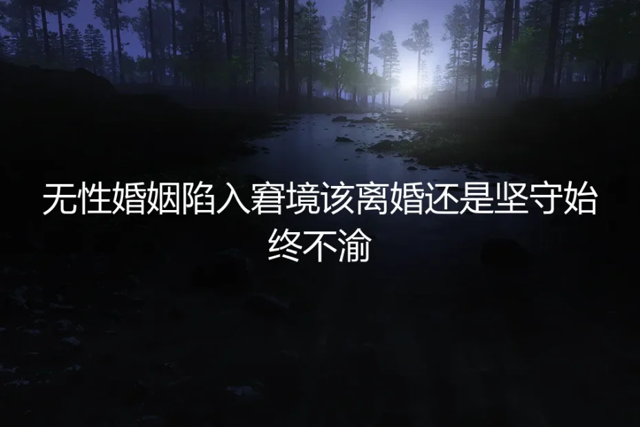 无性婚姻陷入窘境：该离婚还是坚守？一份关于风险与契约的清醒指南