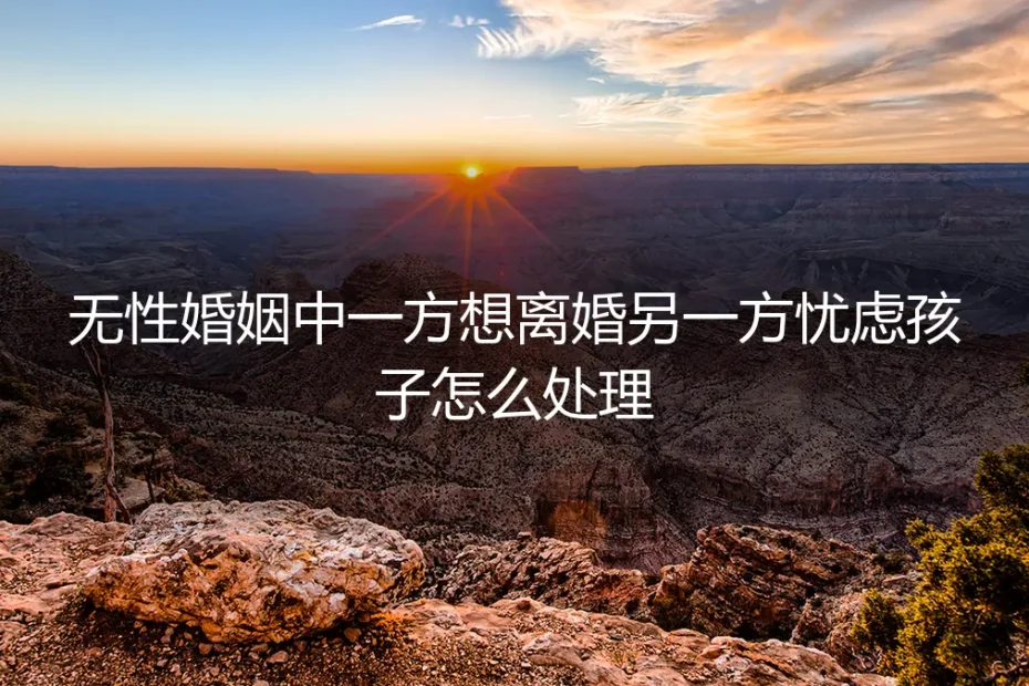无性婚姻想离婚，孩子问题如何破局？给焦虑父母的深度风险指南