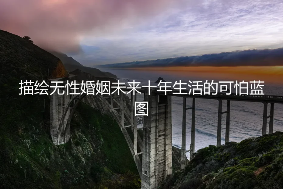 十年蓝图：当无性婚姻成为一张写满沉默的日程表