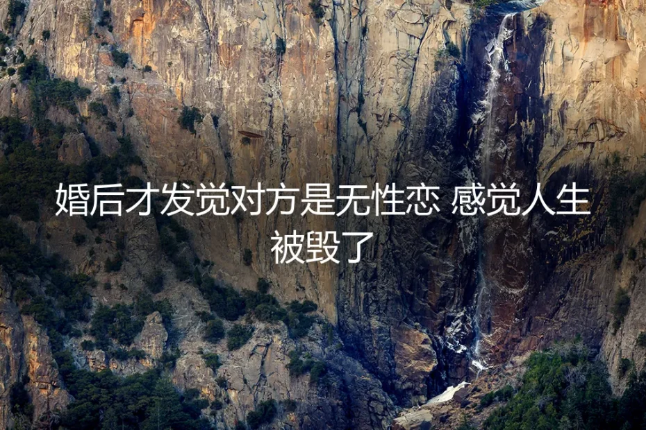 婚后才发觉对方是无性恋：当亲密幻想撞上无性现实，如何重建人生？