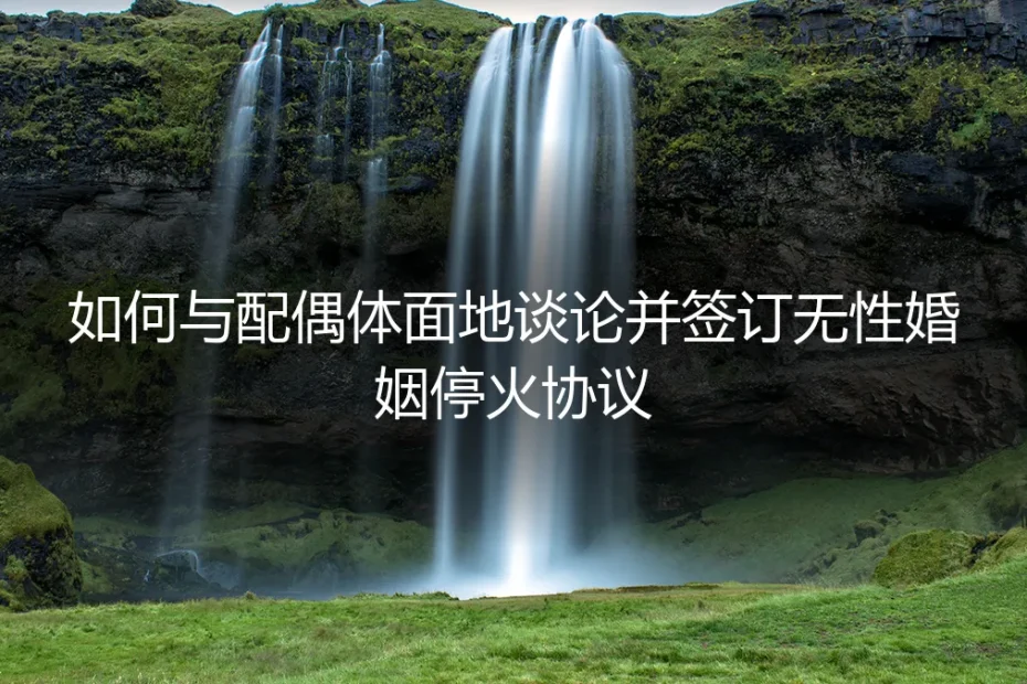 无性婚姻停火协议:如何与配偶体面沟通并签订一份可执行的契约