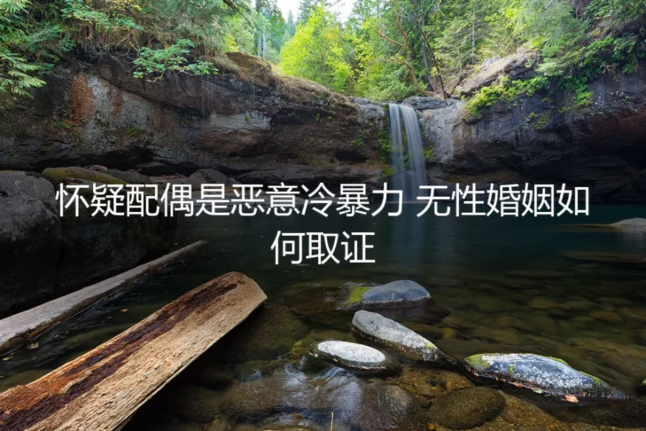 怀疑配偶恶意冷暴力?无性婚姻取证实操避坑指南