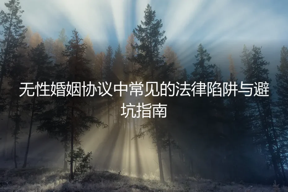 无性婚姻协议中常见的法律陷阱与避坑指南:一份保姆级实操手册