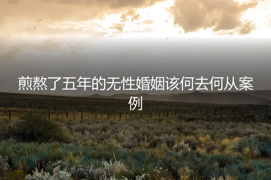 煎熬五年的无性婚姻,是继续忍耐还是勇敢破局?一个真实案例的深度剖析