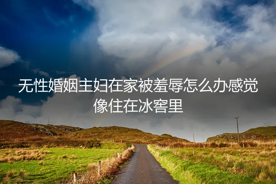 冰窖里的家:当无性婚姻成为一场无声的羞辱