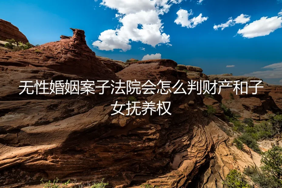 无性婚姻破裂,法院如何判决财产与子女抚养权?一份实操避坑指南
