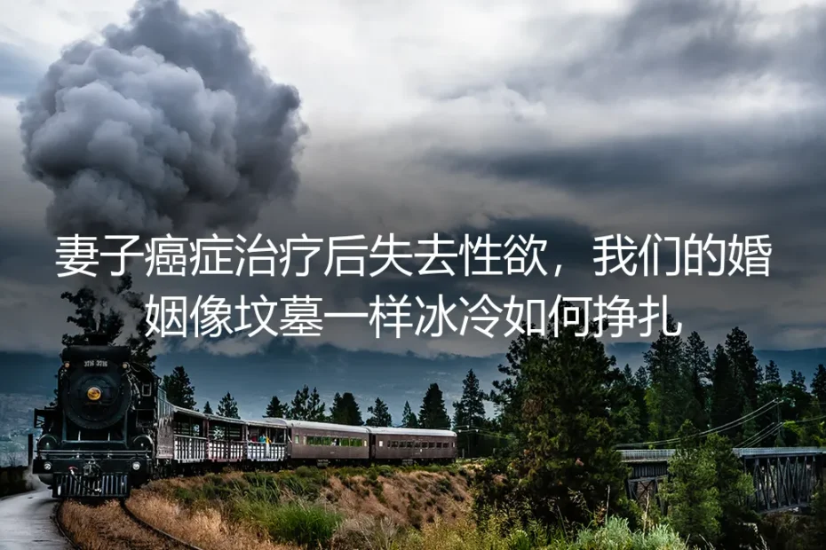 当亲密成为往事:妻子抗癌后,我们如何在无性的婚姻里寻找温度