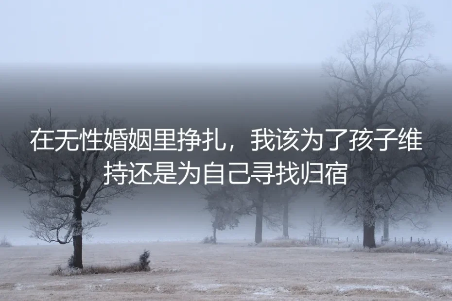 无性婚姻的十字路口:为孩子维持,还是为自己寻找归宿?