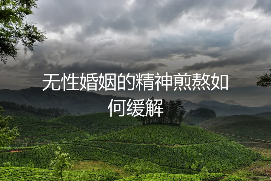 无性婚姻的精神煎熬如何缓解:一份从认知到行动的实操指南