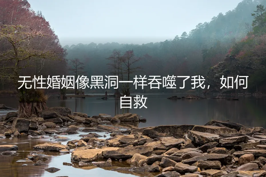 无性婚姻像黑洞一样吞噬了我:一份关于“自救”的深度风险剖析