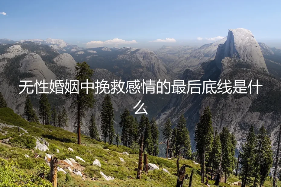 无性婚姻中,挽救感情的最后底线究竟是什么?