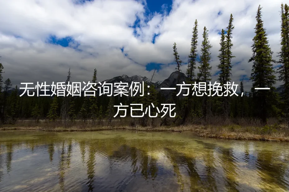 无性婚姻咨询案例深度剖析:当一方奋力挽救,另一方早已心死