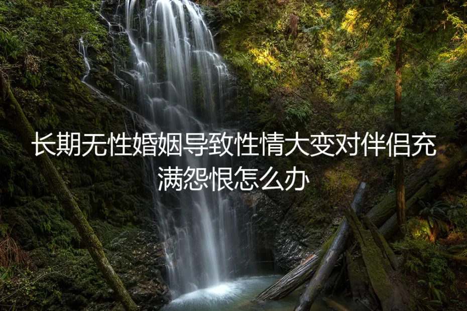 长期无性婚姻导致性情大变,对伴侣充满怨恨怎么办?