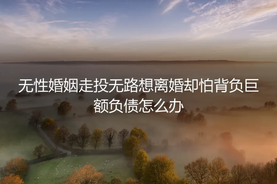 无性婚姻走投无路,想离婚却怕背负巨额负债?清醒剖析债务风险与出路