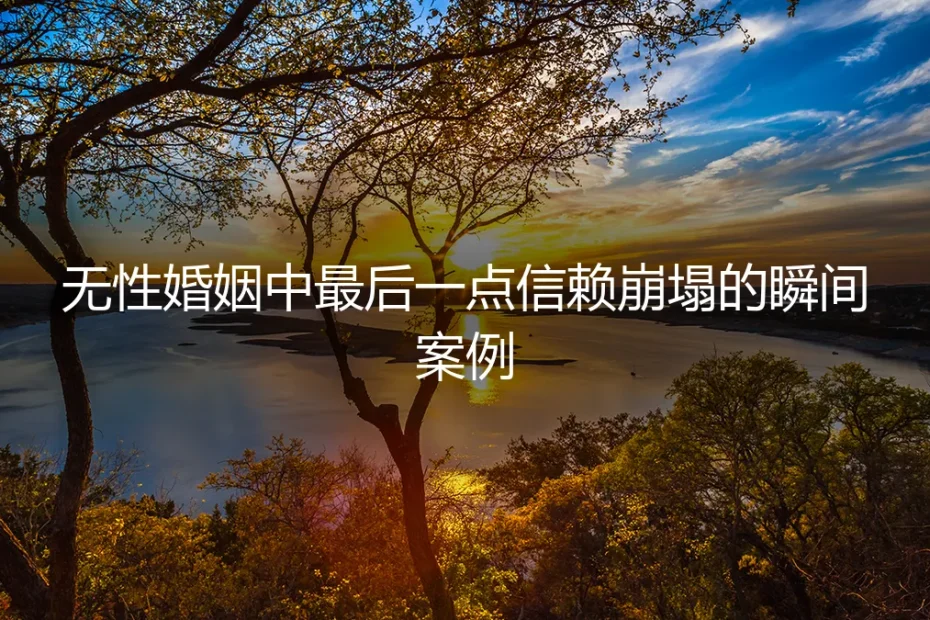 当信赖崩塌:无性婚姻中那个无法挽回的瞬间