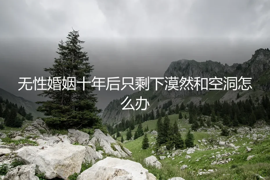 无性婚姻十年后只剩下漠然和空洞，怎么办？——一份给困局中人的深度风险剖析