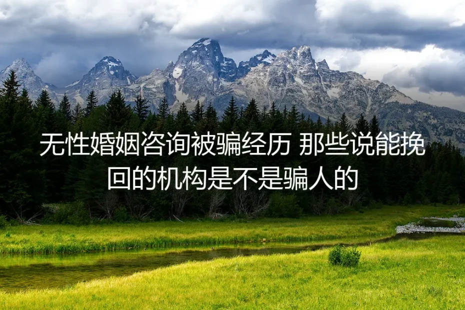 无性婚姻咨询被骗记:那些声称能挽回的机构,是救星还是陷阱?