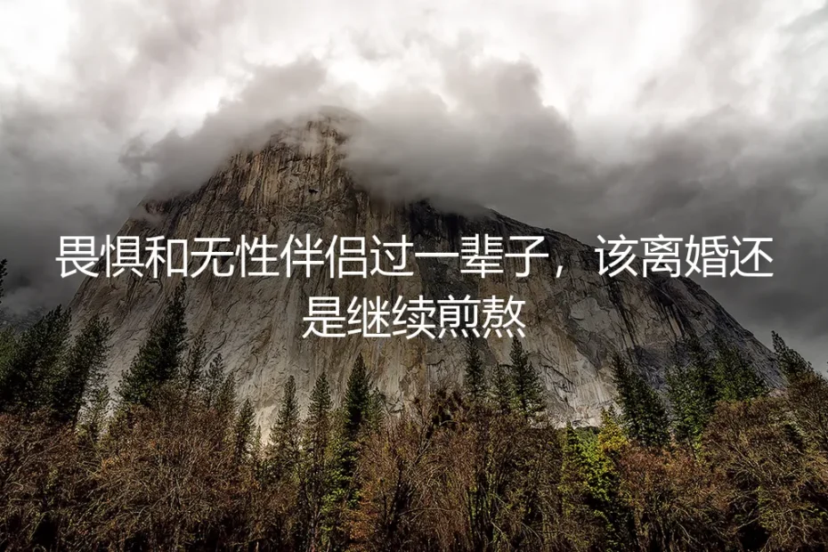 无性婚姻:是畏惧一生煎熬而离婚,还是继续?一份风险前置的深度答疑