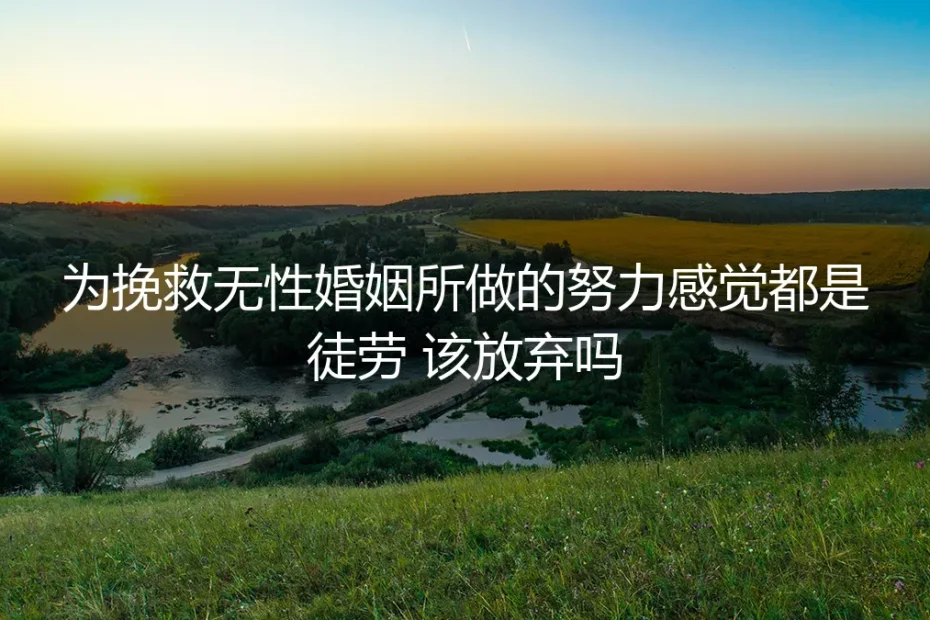 为挽救无性婚姻所做的努力感觉都是徒劳，该放弃吗？