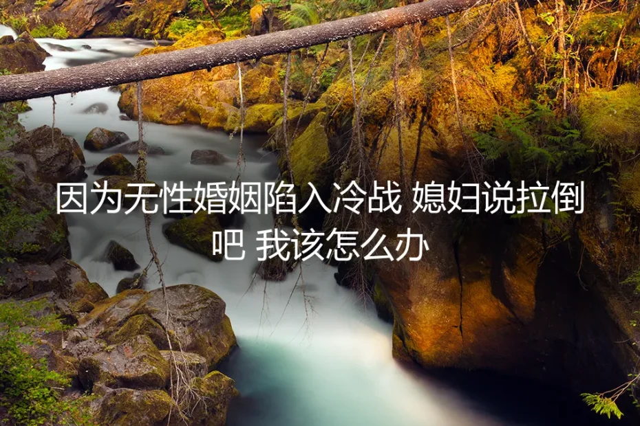 无性婚姻陷入冷战，伴侣一句“拉倒吧”后，我该如何破局？