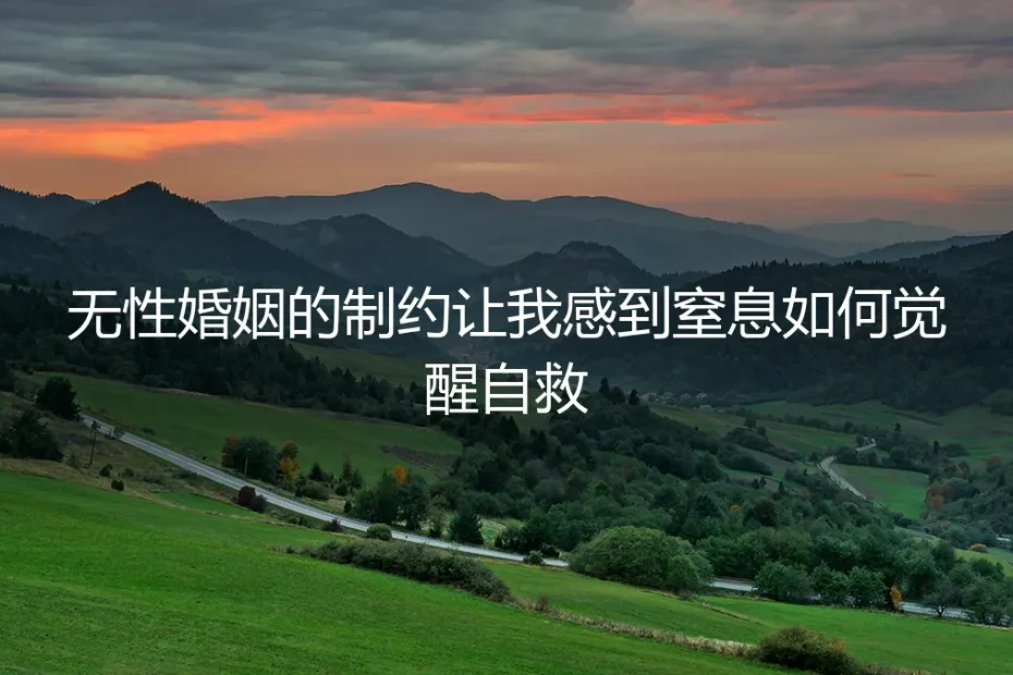 衣柜里的呼吸声：当无性婚姻成为透明牢笼