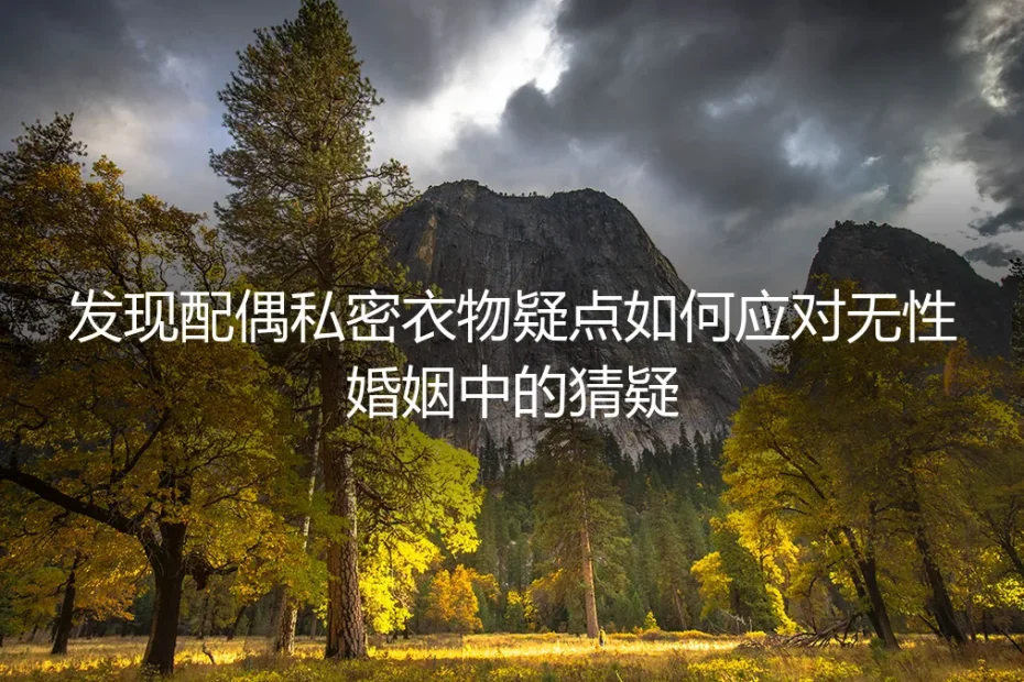 当私密衣物疑点浮现：如何应对无性婚姻中的猜疑风暴