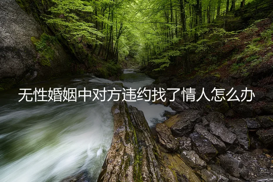 无性婚姻中，伴侣违约出轨怎么办？风险前置与契约精神的深度剖析