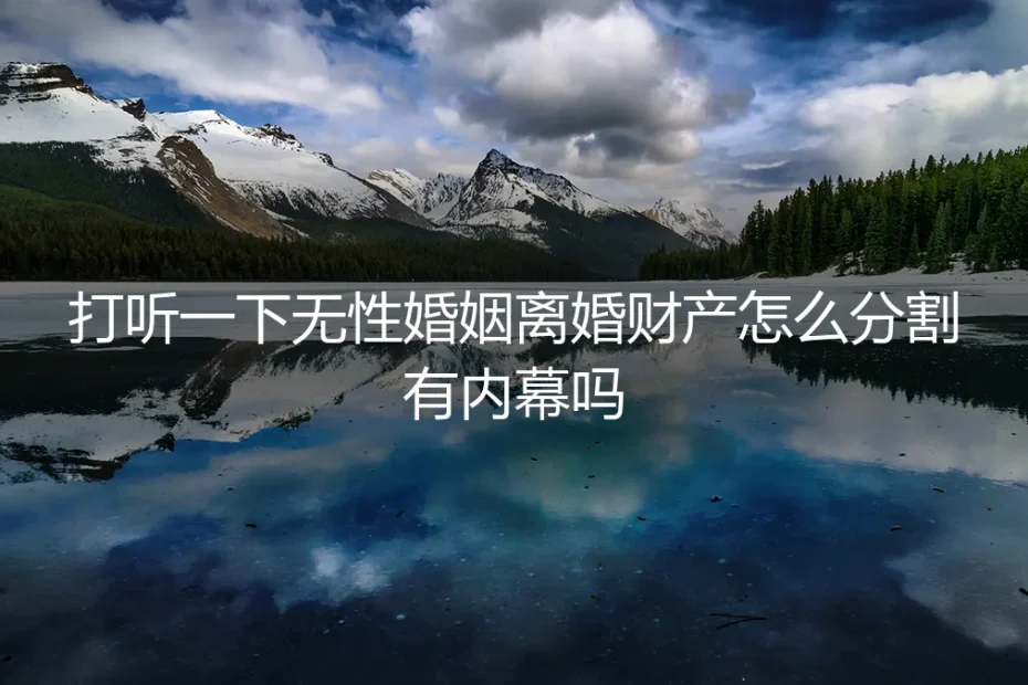 无性婚姻离婚,财产分割有“内幕”吗?资深咨询师深度答疑