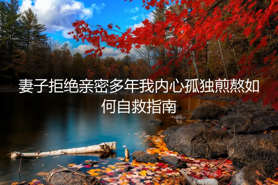 妻子拒绝亲密多年,内心孤独煎熬?一份给丈夫的深度自救实操指南