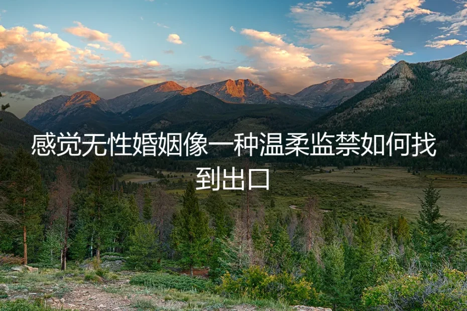 温柔监禁:我在无性婚姻里找到的出口