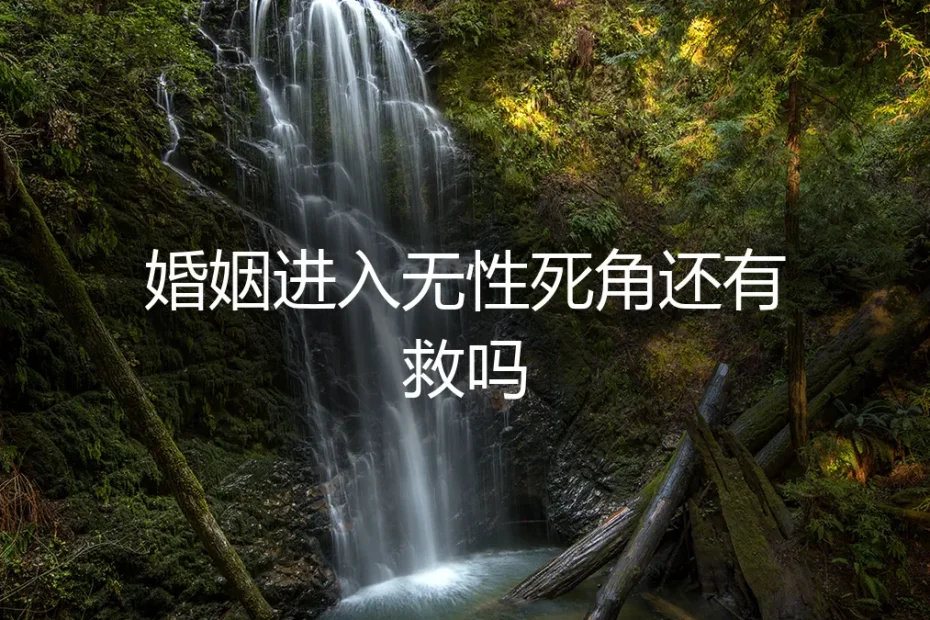 婚姻进入无性死角,还有救吗?——一份给围城内外人士的深度风险与契约指南