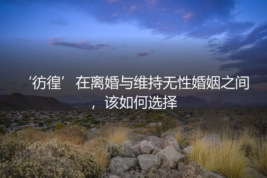 彷徨在离婚与维持无性婚姻之间:一份基于风险与契约的清醒选择指南