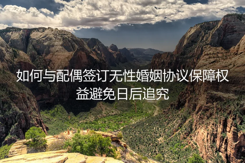 无性婚姻协议保姆级实操指南：如何与配偶签订协议，保障权益，避免日后追究