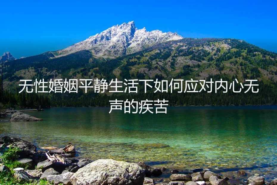 无性婚姻的平静假象:如何应对内心无声的疾苦