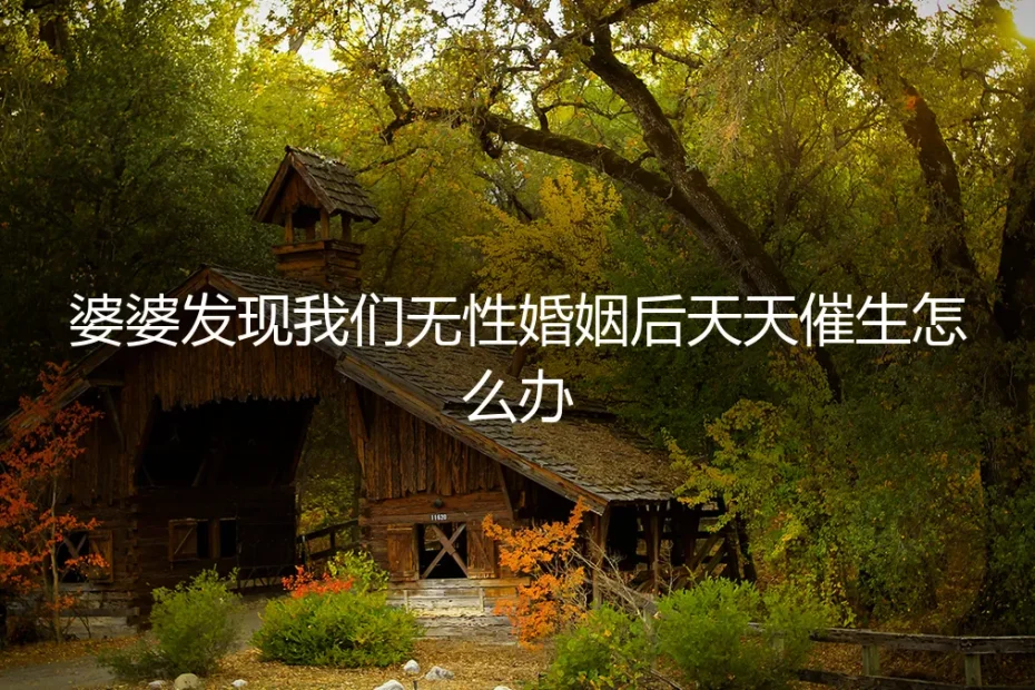 婆婆催生风暴：当无性婚姻成为家庭公开的秘密，如何守住边界与契约？
