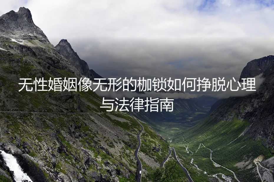 无性婚姻像无形的枷锁?挣脱心理与法律束缚的保姆级实操指南