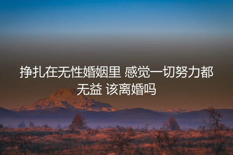 挣扎在无性婚姻里,感觉一切努力都无益,该离婚吗?