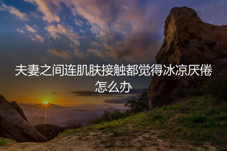 无性婚姻深度答疑:当肌肤接触只剩冰凉与厌倦,我们该如何自处?
