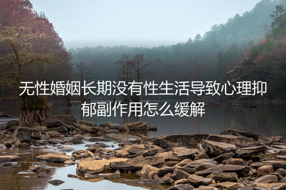 无性婚姻长期无性生活：心理抑郁的副作用与理性应对指南