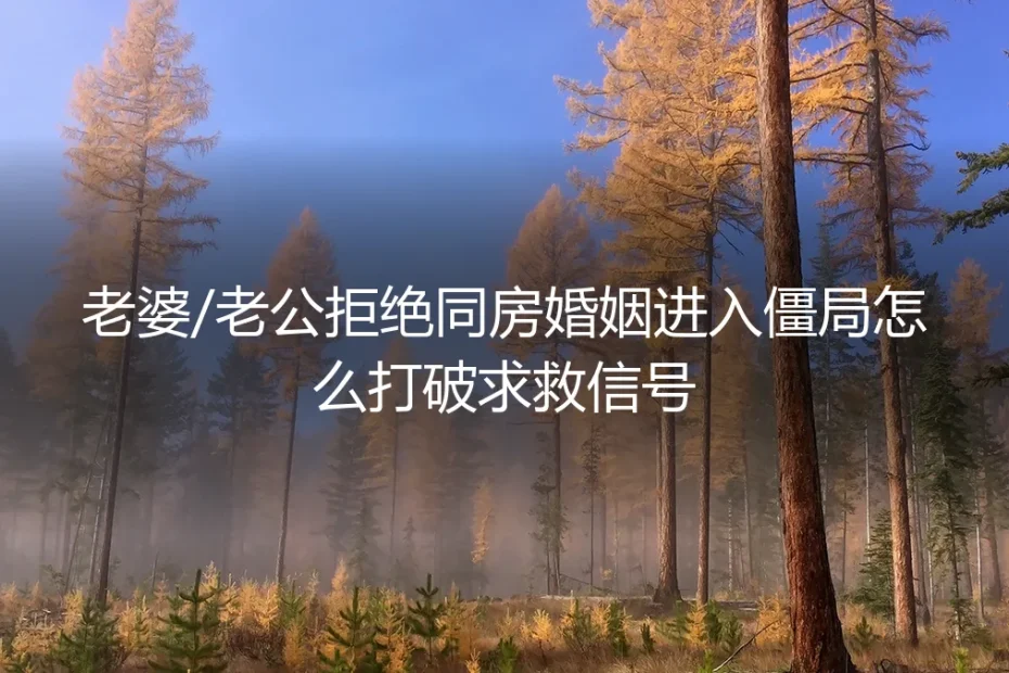 无性婚姻僵局：当伴侣拒绝同房，如何识别并打破求救信号？
