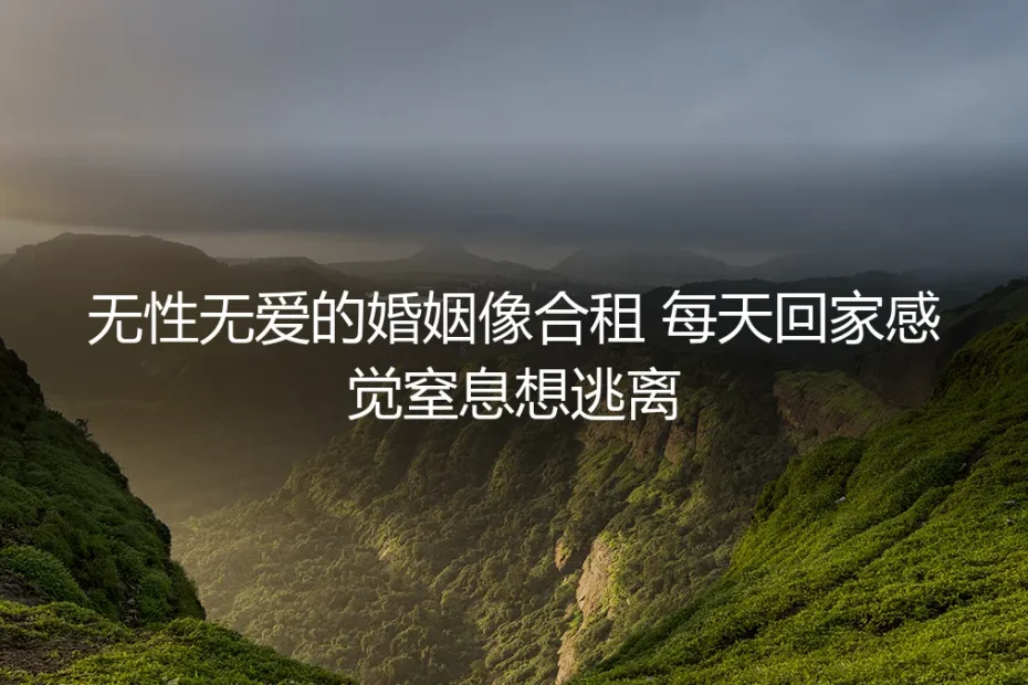 合租式婚姻:当回家变成一场漫长的窒息