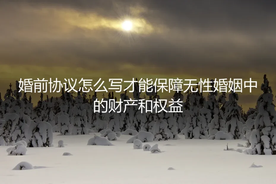 无性婚姻婚前协议保姆级实操指南：如何精准保障财产与个人权益