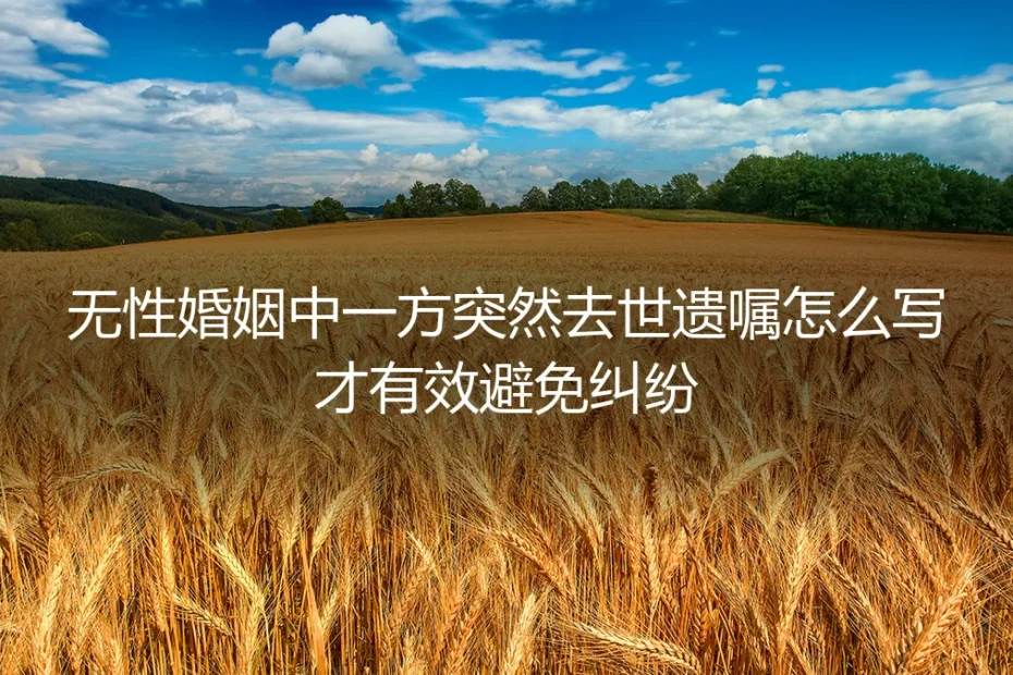 无性婚姻中一方突然去世:一份有效避免纠纷的遗嘱保姆级实操指南