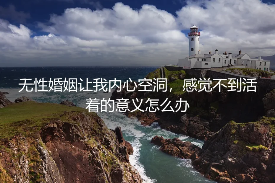 无性婚姻让我内心空洞,感觉不到活着的意义怎么办?—— 一份关于“意义”与“契约”的深度答疑